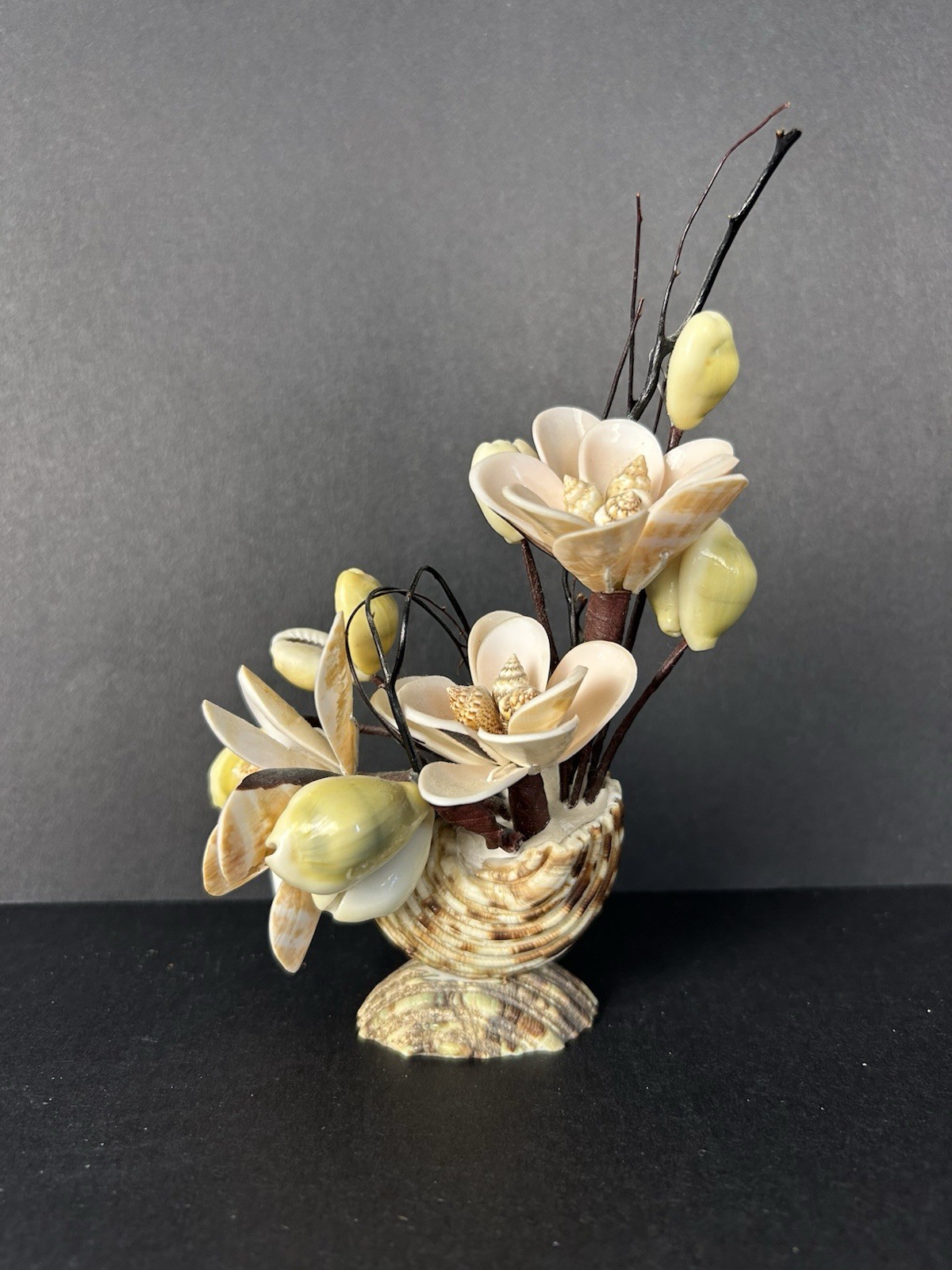 Vintage Cottagecore Kitschy Hand Made Sea Shell Floral Arrangement 6”x4”