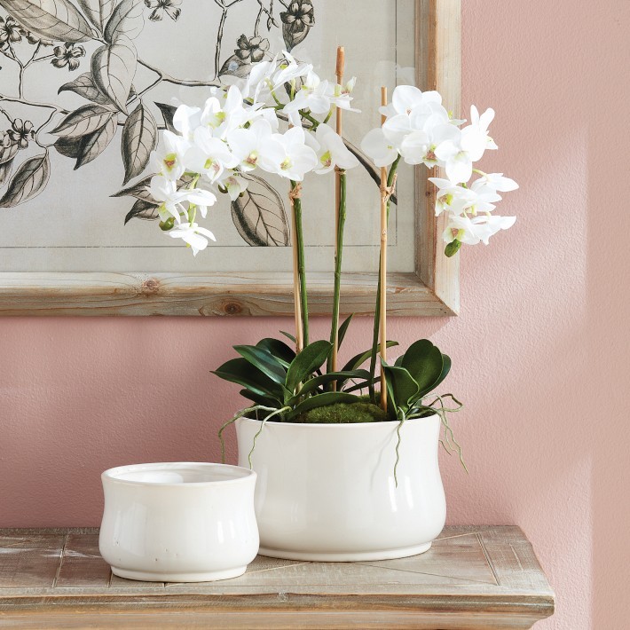 Faux Phalaenopsis Orchid Drop-In, 16″-Williams Sonoma|43281