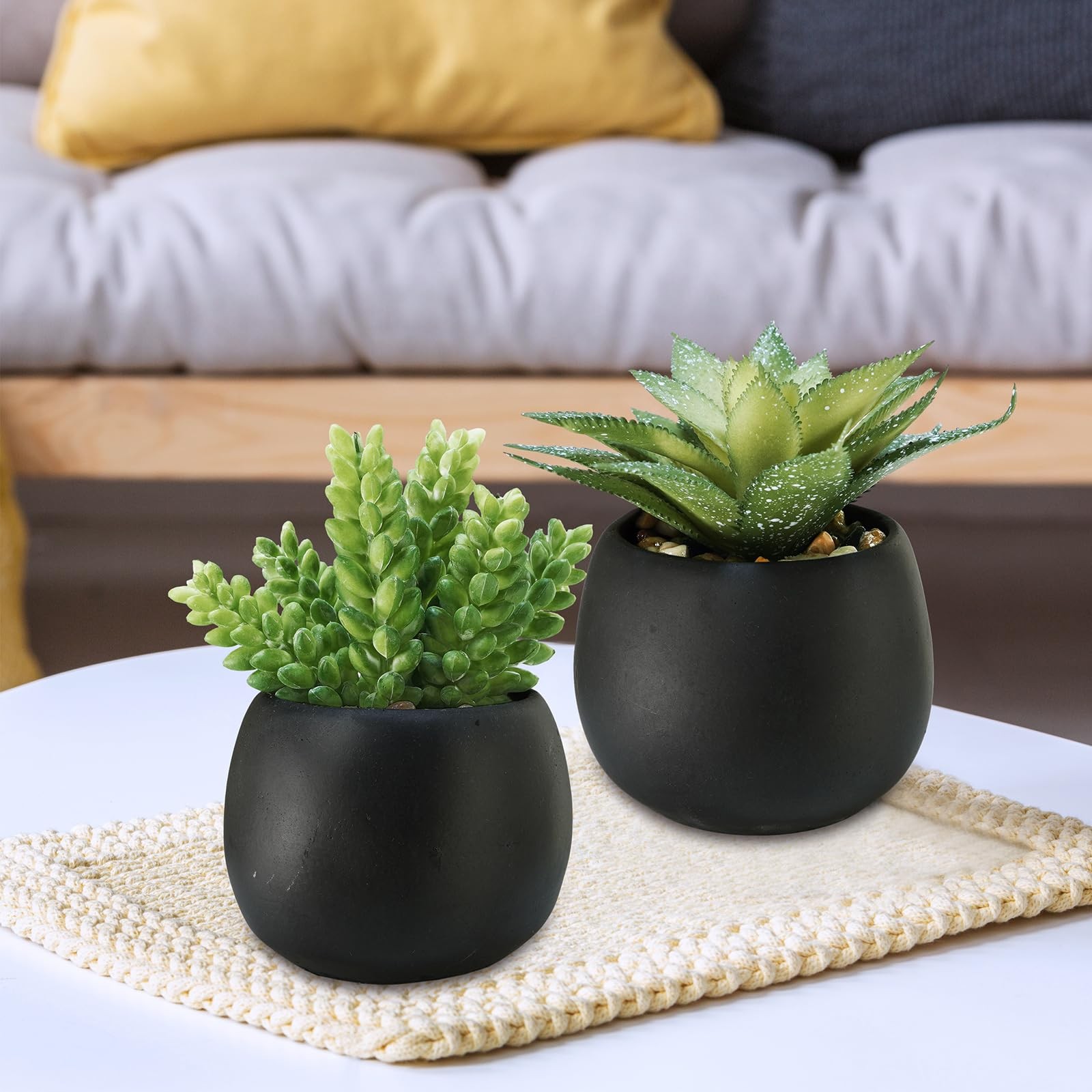 Set of 3 Artificial Succulents Plants in Black Cement Planters Faux Potted Pl…