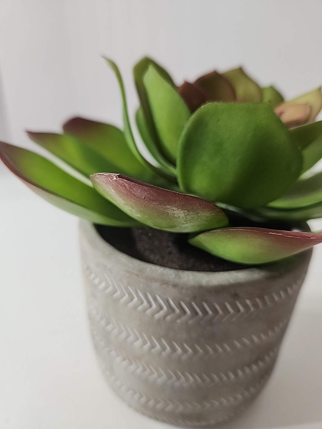 7.5 Inch Artificial House Plant In Decorative Stone Pot.