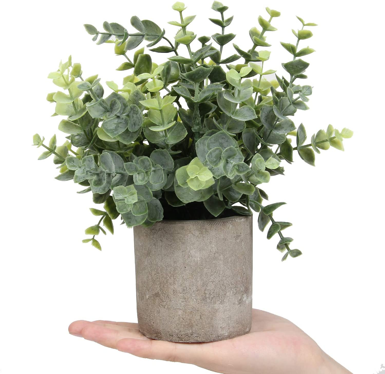 Mini Potted Plants Artificial Eucalyptus Boxwood Rosemary Greenery in Pots Faux