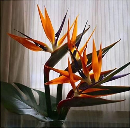 3 PCS 32 Inch Orange Red Large Bird of Paradise Permanent Artificial Flower, …