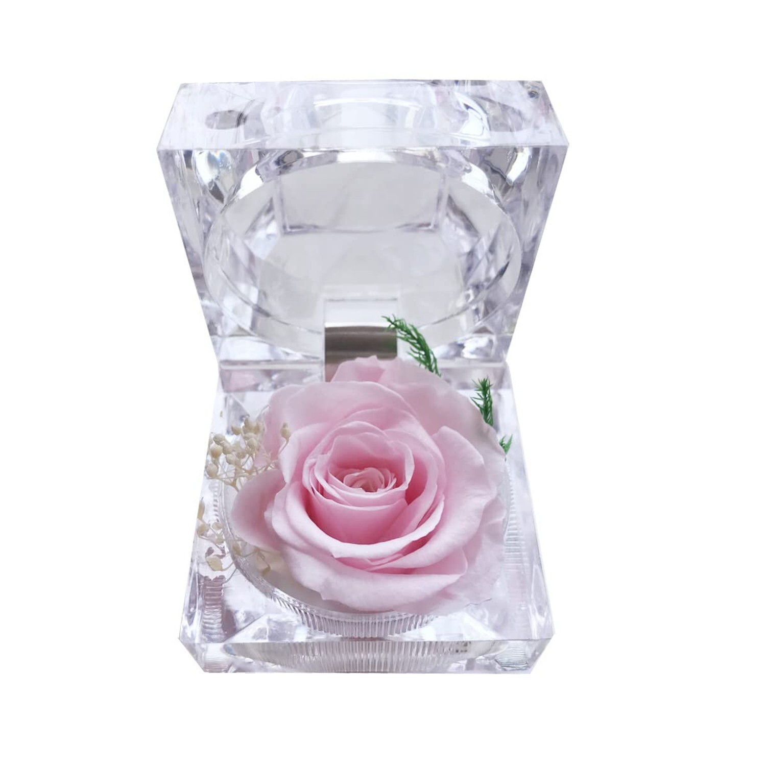 Preserved Rose Real Forever Rose in Mini Clear Ring Box, Eternal Flower Rose …
