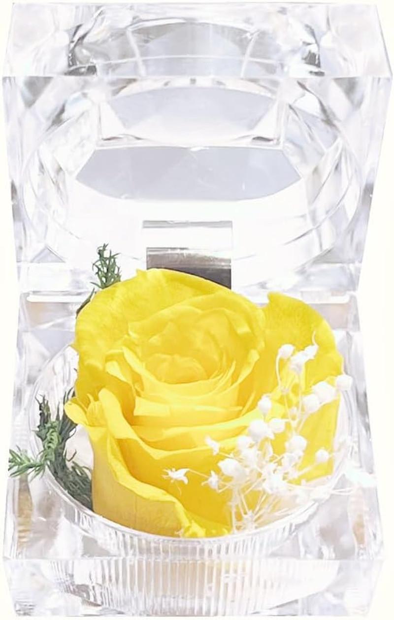Preserved Rose Real Fresh Rose in Mini Clear Ring Box, Eternal Flower Rose Gifts