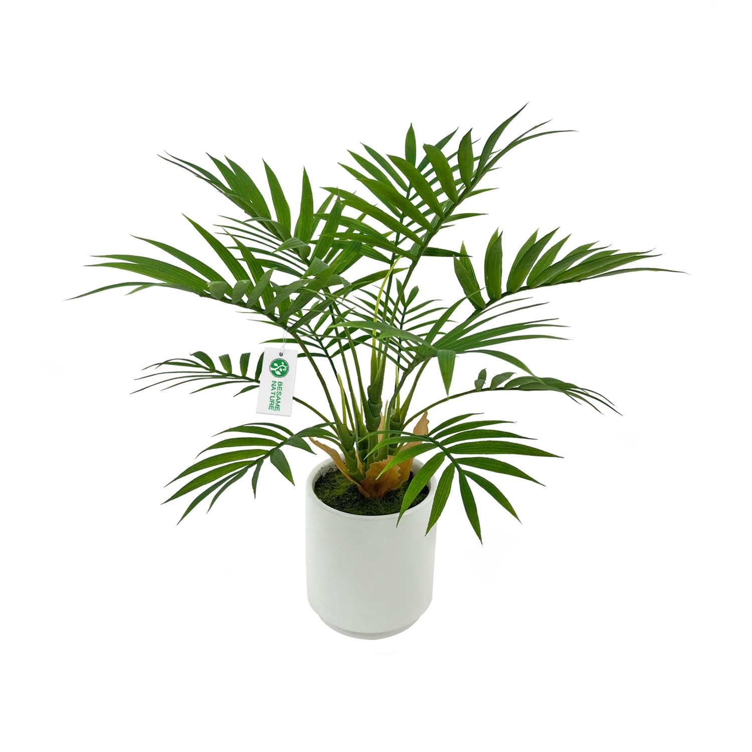 BESAMENATURE Artificial Palm Tree Plant, Potted 1ft, White Ceramic Planter