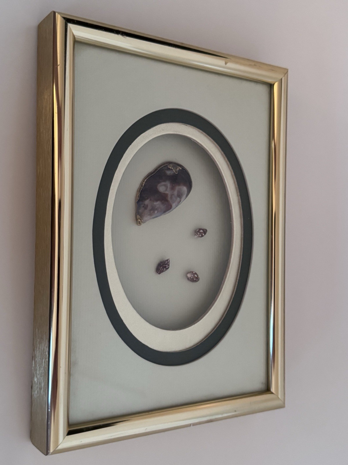 Vintage M&R Original Framed Shell Art Shadow Box Skokie IL Mid Century Coastal
