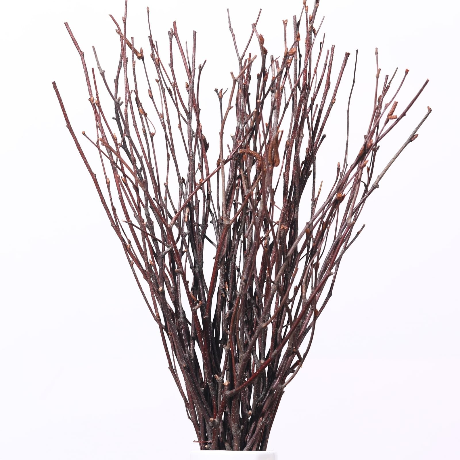 20Pcs Real Dried Birch Twigs 17 In Natural Decorative Branches For Vase