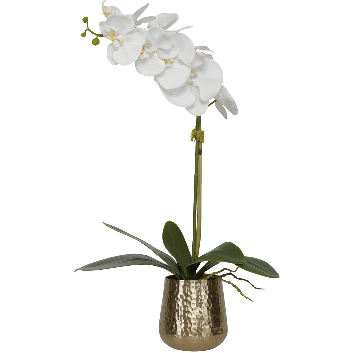 Uttermost 60189 Cami Orchid Hammered Brass Orchid in Metal Pot