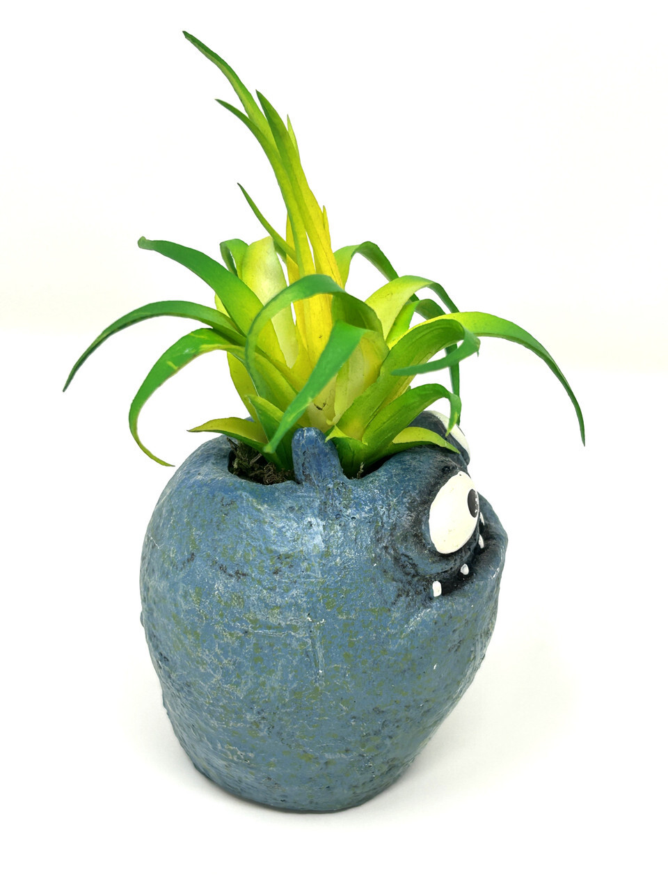 4.5 in. Potted Blue Monster MURPHY Blob House Mini pot WITH faux Harrisii Air pl