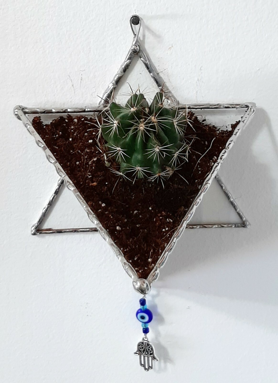 Transparent Terrarium in shaped of Star of David Stained Glass, Jewish Wall Gift