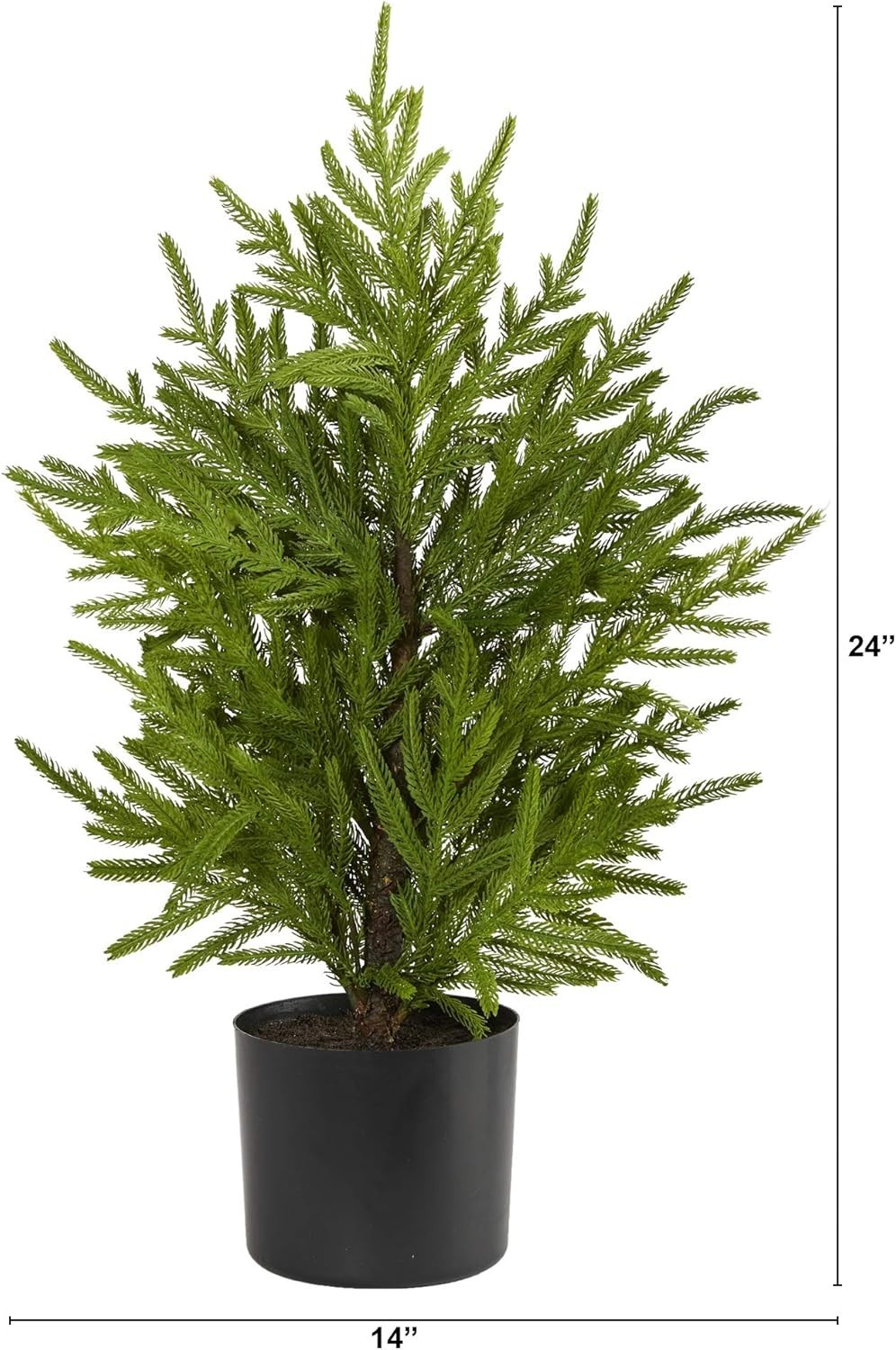 Nearly Natural 2ft Norfolk Island Pine Artificial Tree in Planter (2-2)