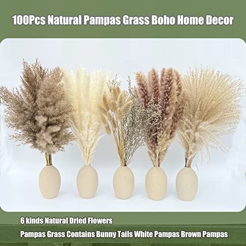 Pcs Pampas Grass Boho Home Decor 17 inch Natural Dried Flowers-Pampas Grass 100