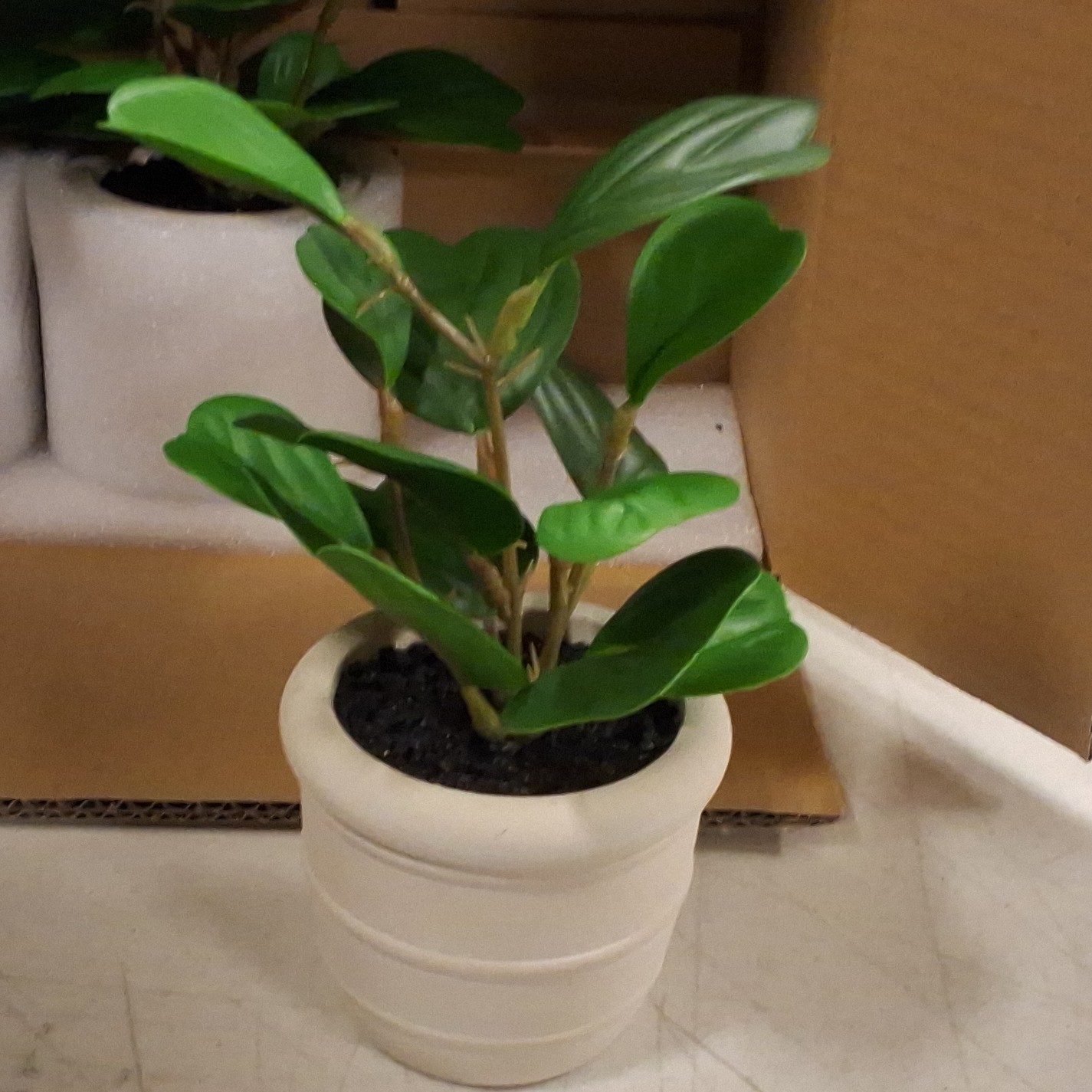 4 × Target Brands Artificial Mini Plant in White Pot Plastic Houseplant