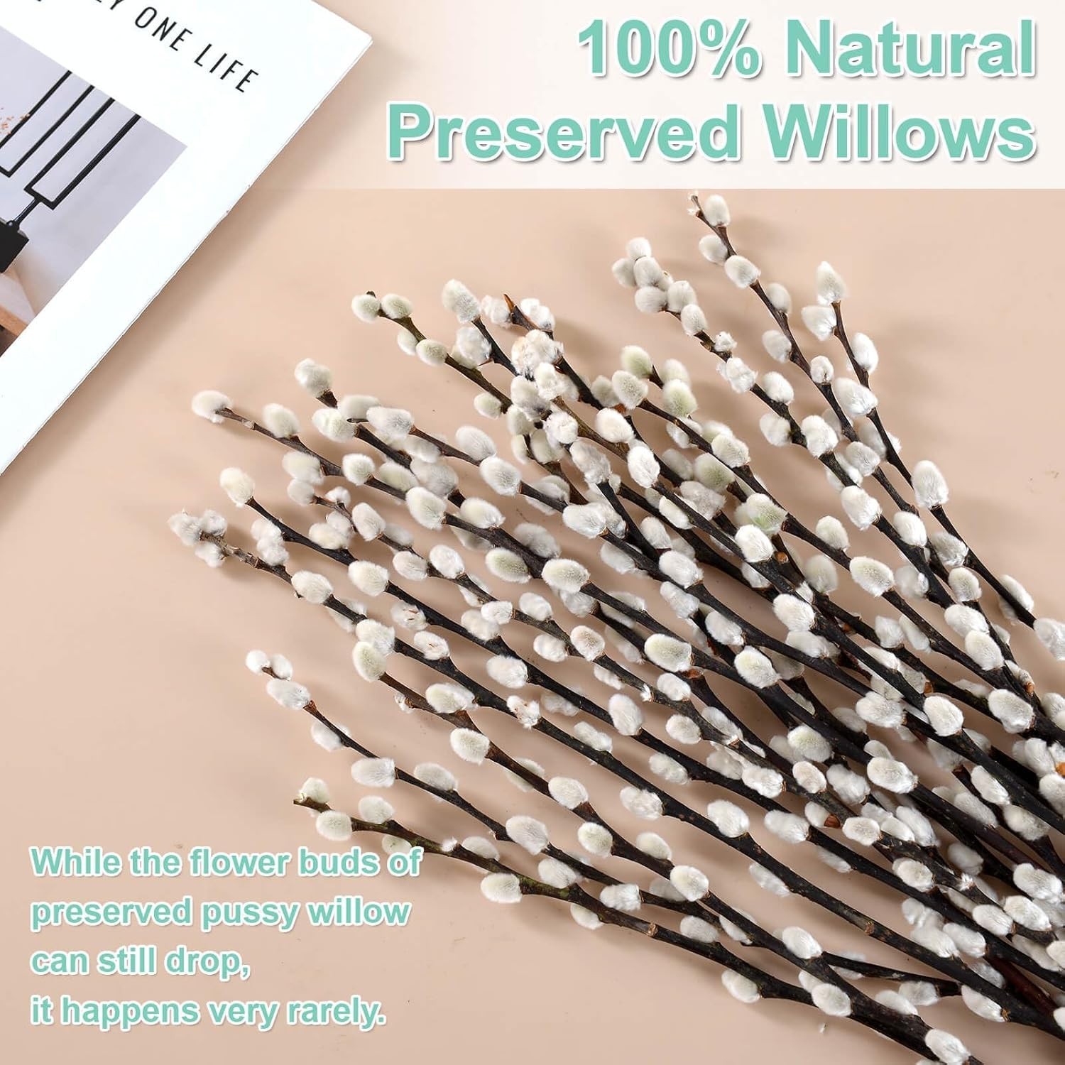 Real Dried Pussywillow Branches 20 Stems White Flowers Natural Greenery Home Dec