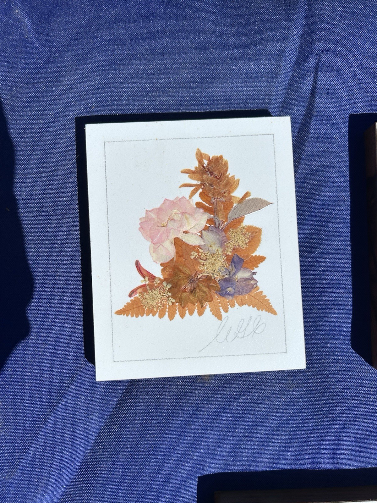 Vintage Pressed Flower Art Set 5 Botanical Floral Plaques Cottagecore Wall Decor