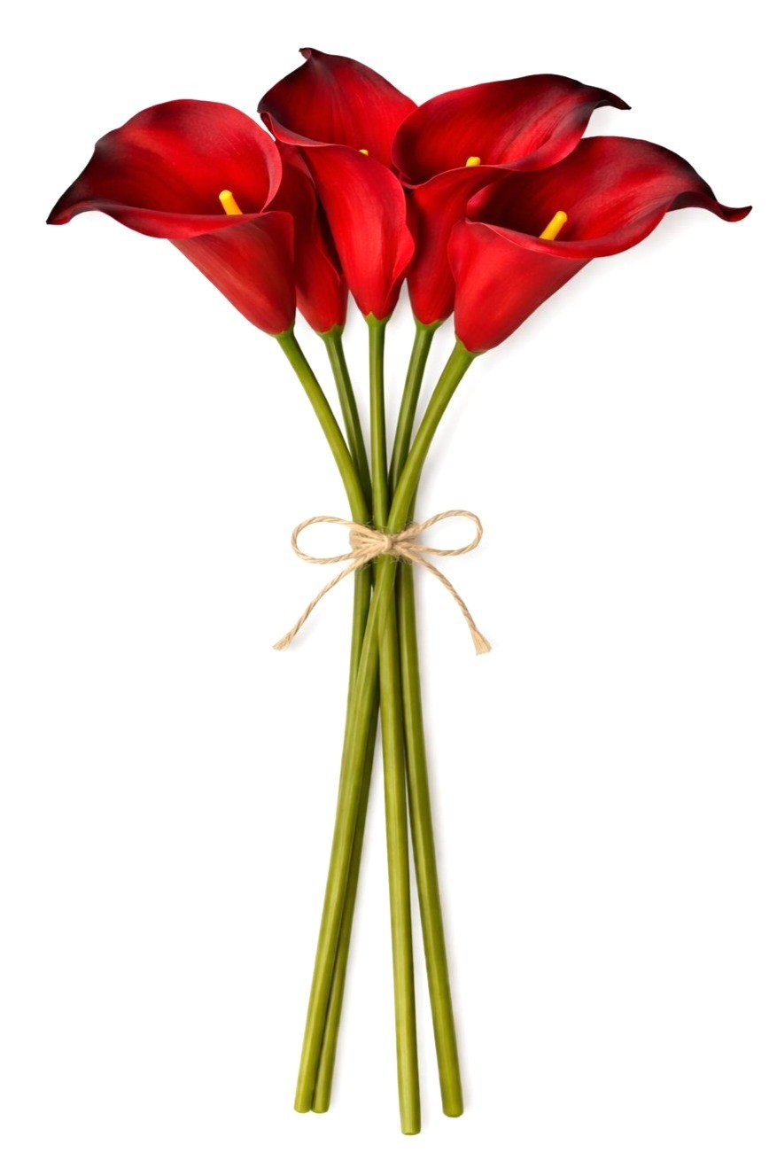 Cherry Red Calla Lily Bundle Real Touch Faux Flowers Deep Red Calla Lilies Dark