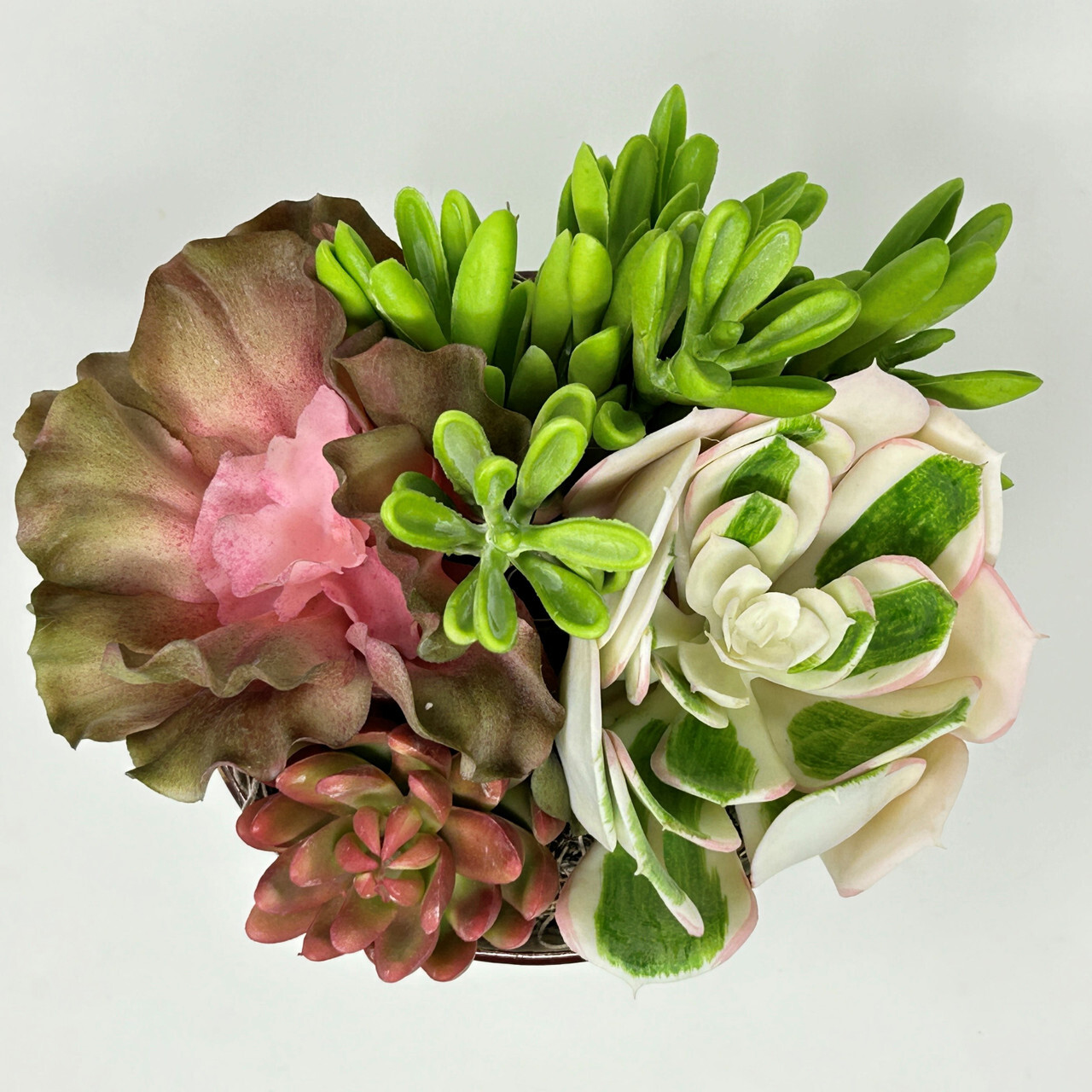 7″ Artificial MAUVE PINK mixed Succulent Garden #16, Blue Ceramic Bowl Planter
