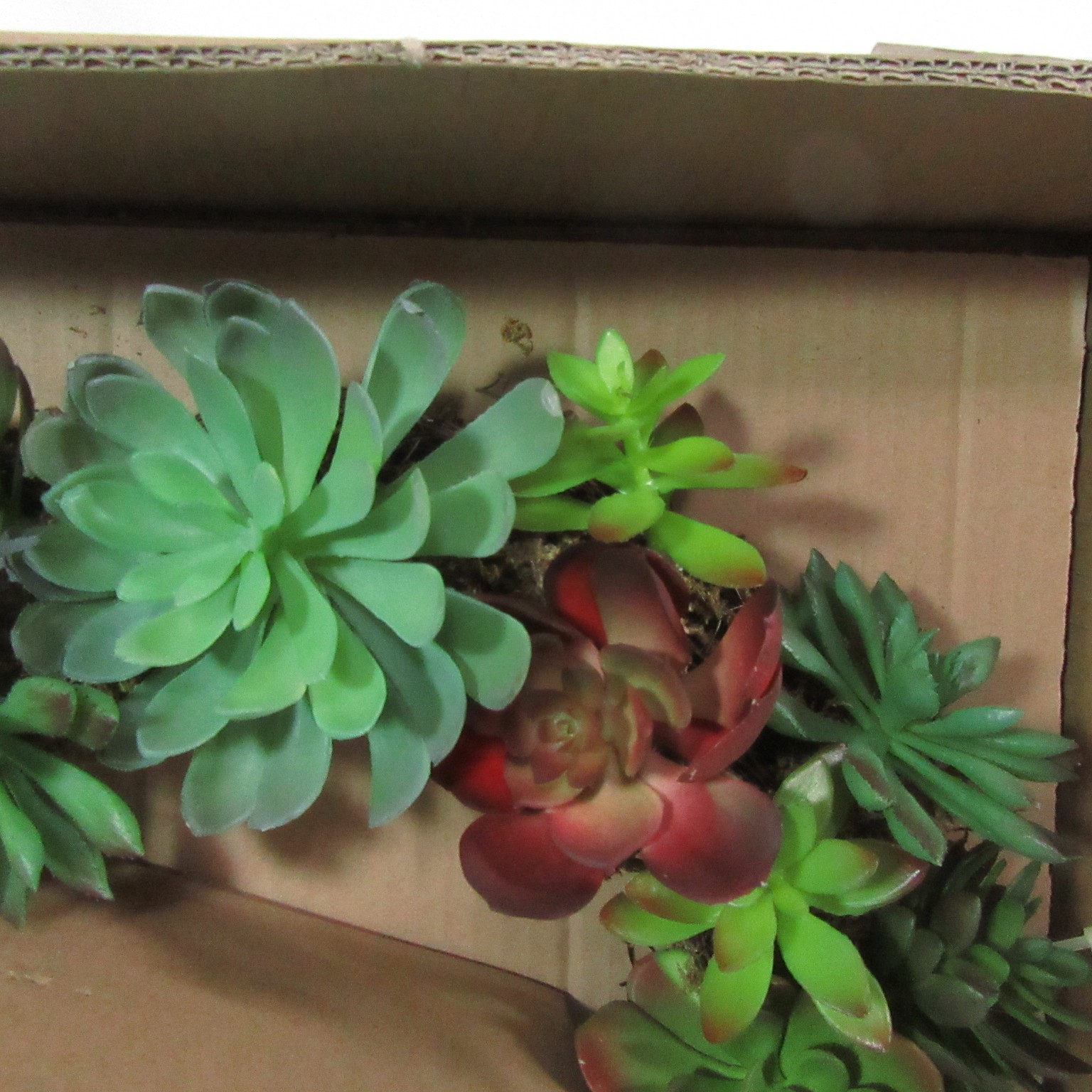 Pottery Barn Garden Succulent Floral Williams-Sonoma 16″ Artificial Wreath