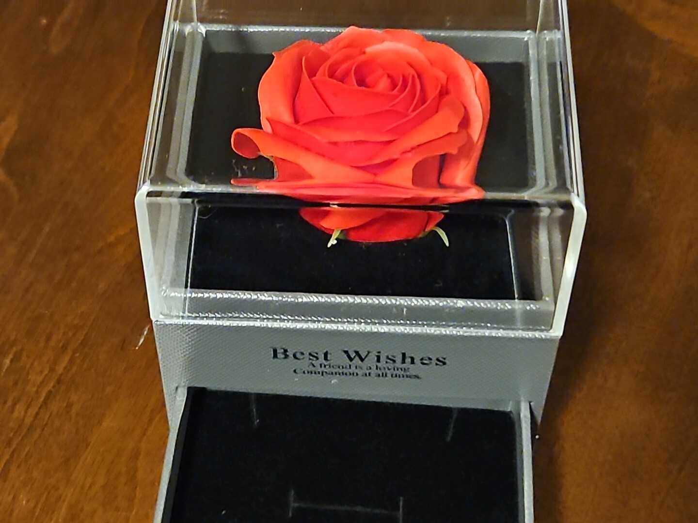 Preserved Rose Flowers In Box ” BEST WISHES A friend Is A Loving Companion…..