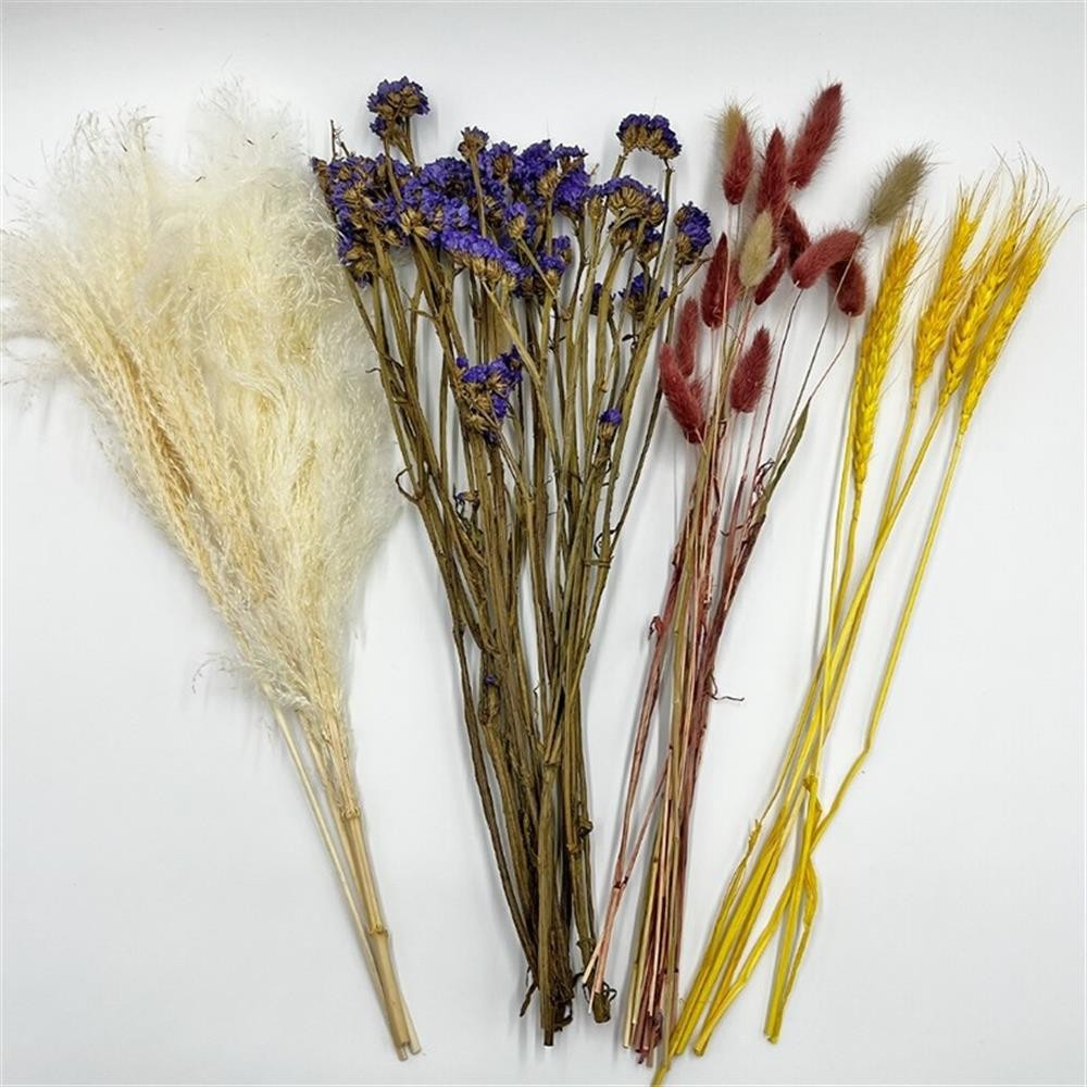 Pemberly Row 10-inch High Real Preserved Mixed Bouquets in Small Size