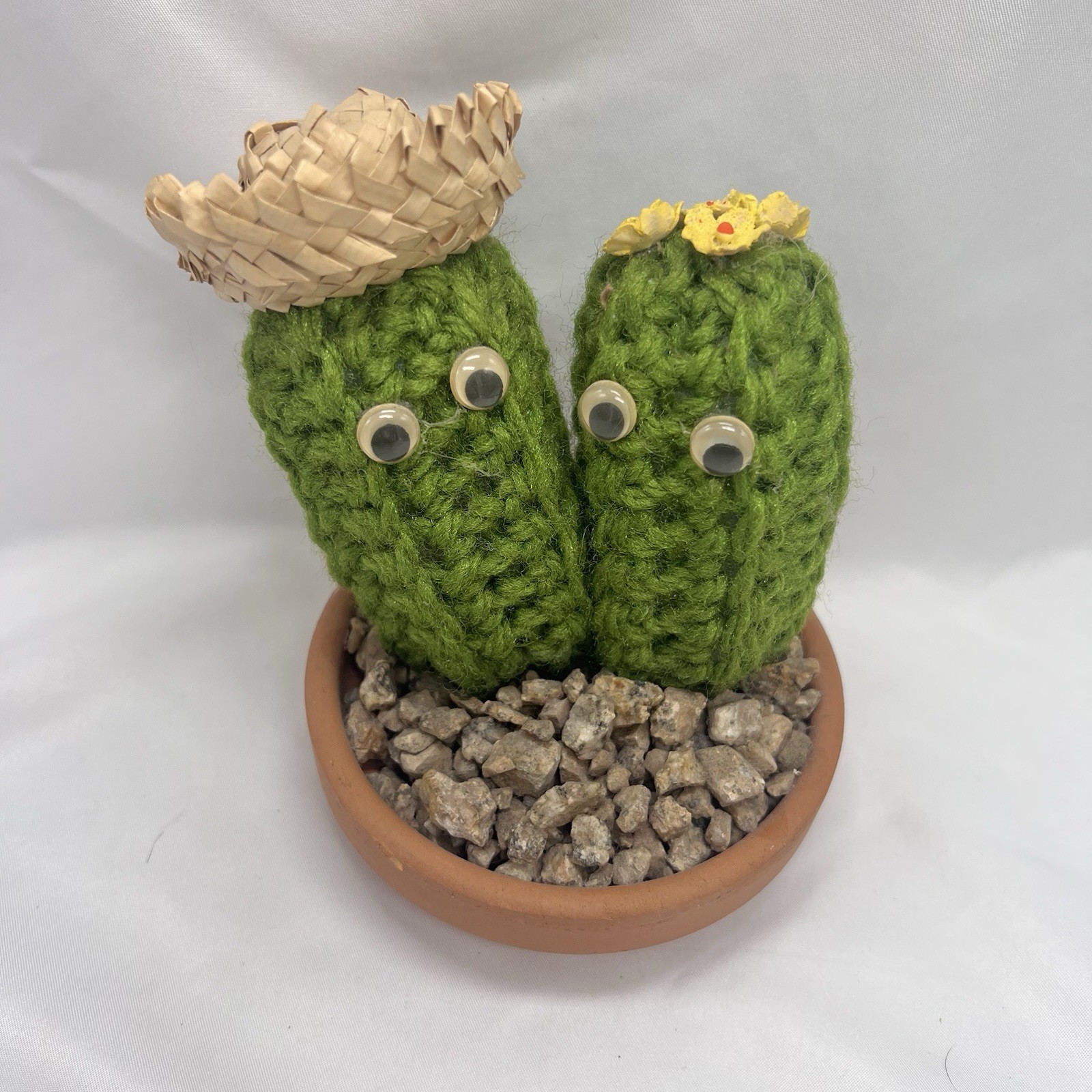 5 1/2” Crocheted / Knitted Potted Cactus Plant In Rock Bed Google Eyes