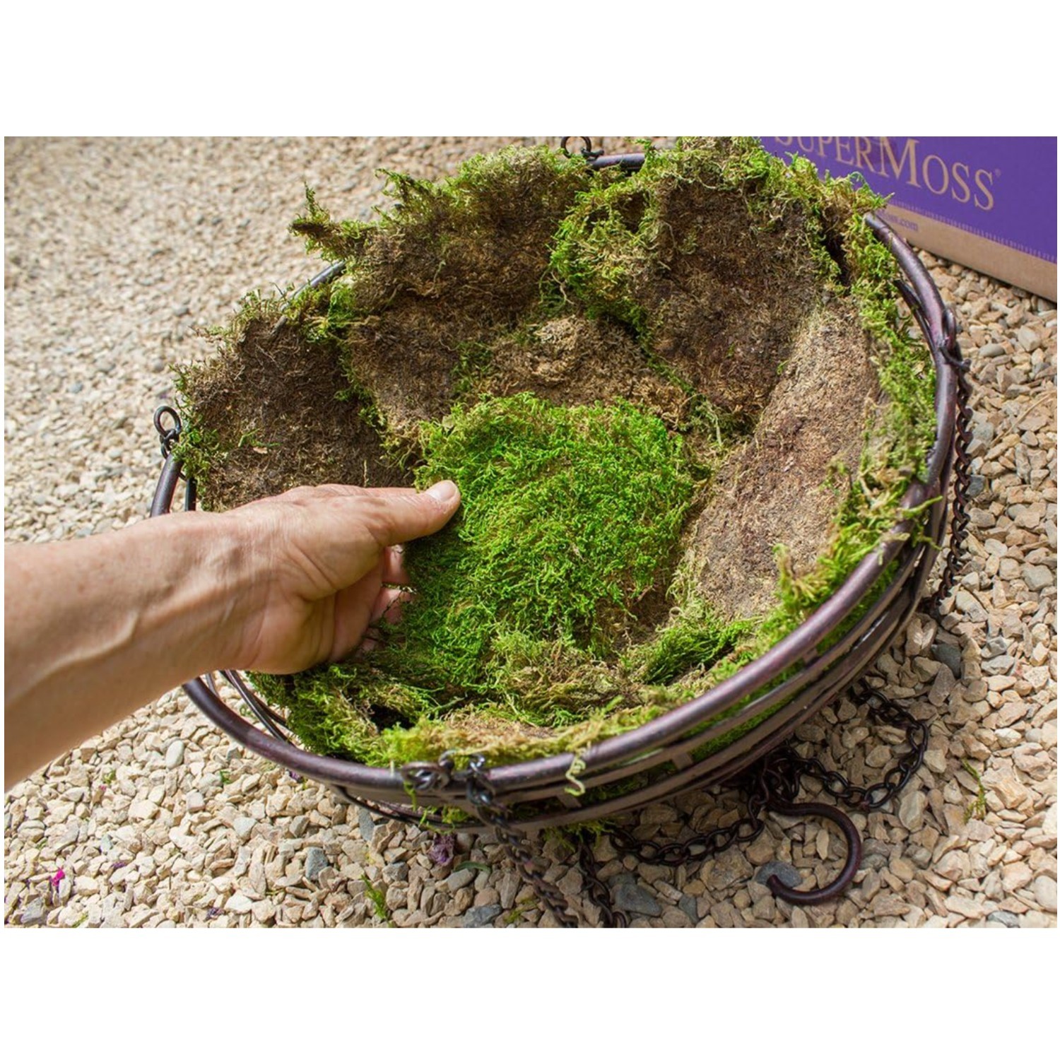 Fresh Green Moss Sheets, 20-24 Sq. Ft
