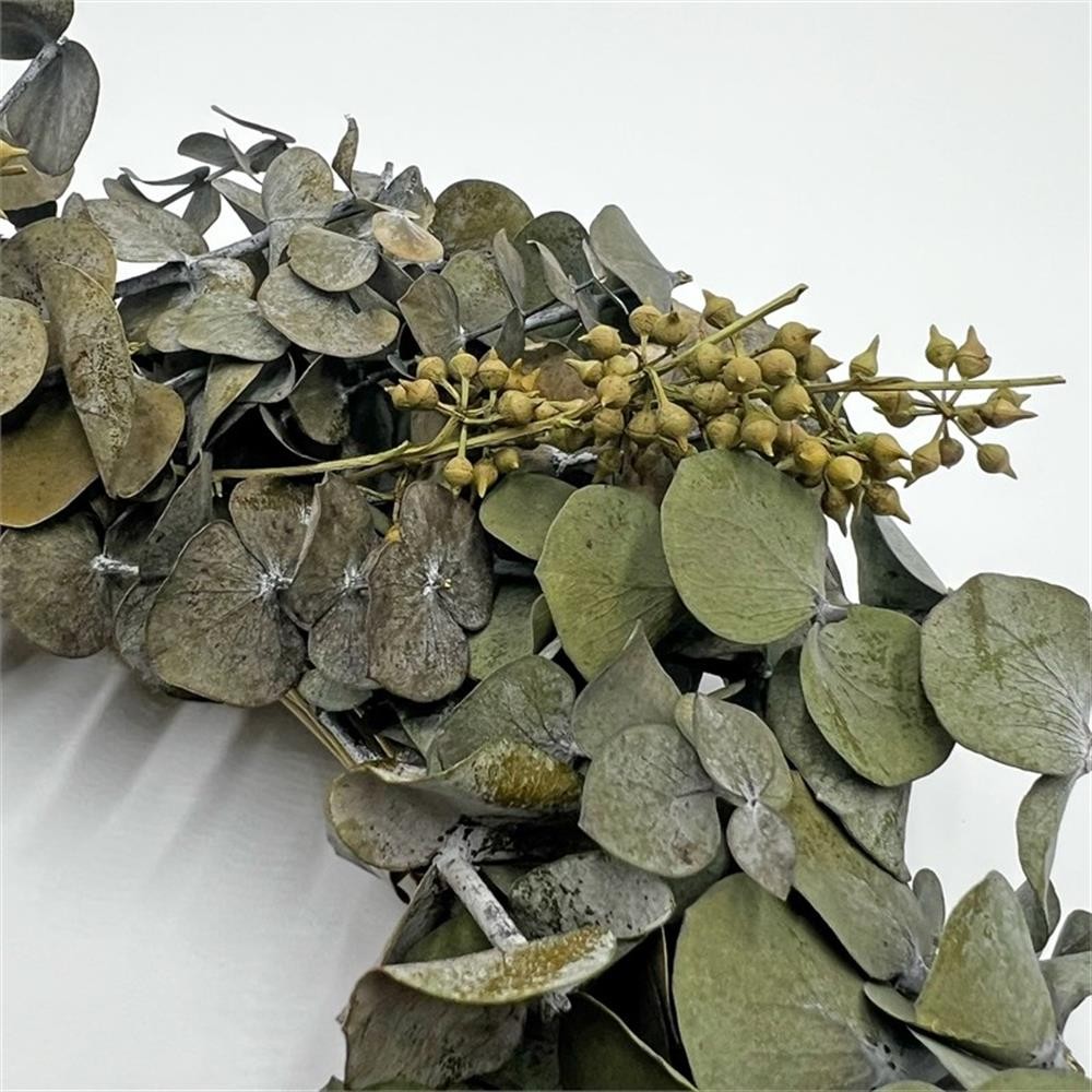 Pemberly Row 12″ Preserved Decorative Real Eucalyptus Wreath in Green