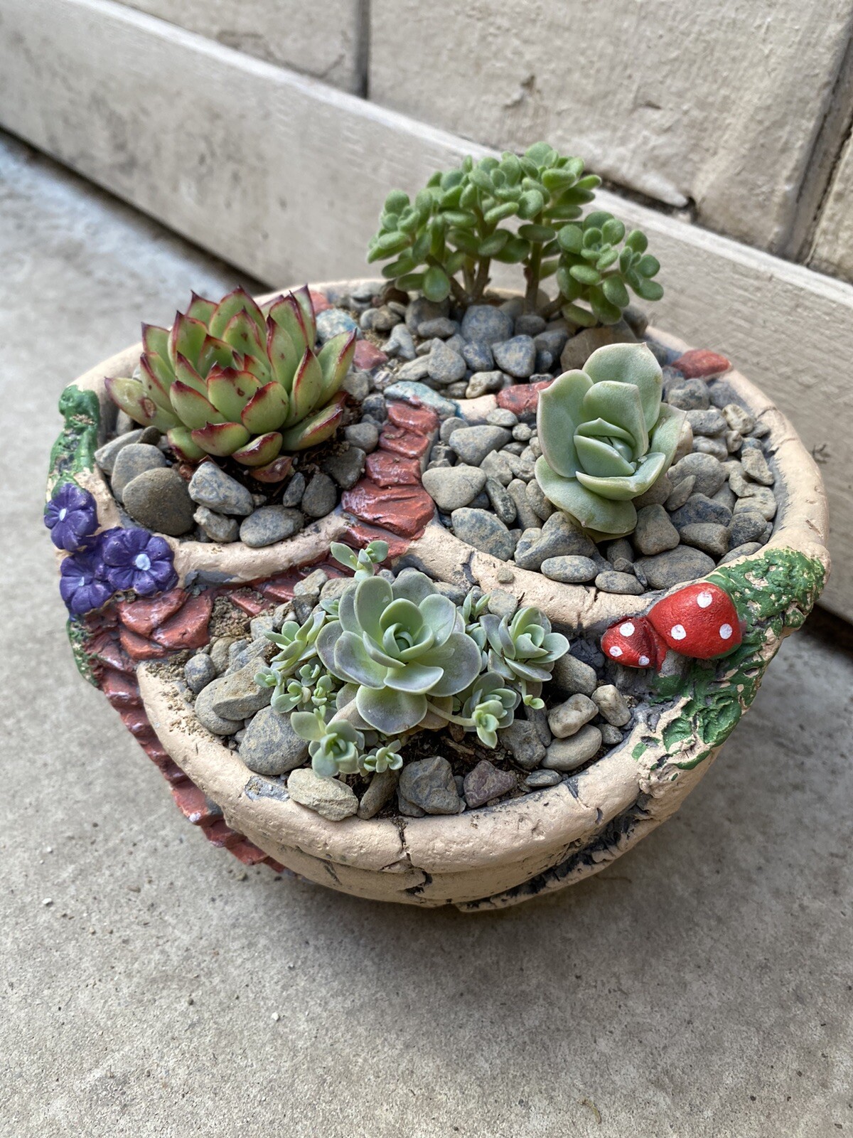 6.7 Inch X 4.72 Inch Succulent Plant Arrangement in Concrete Pot
