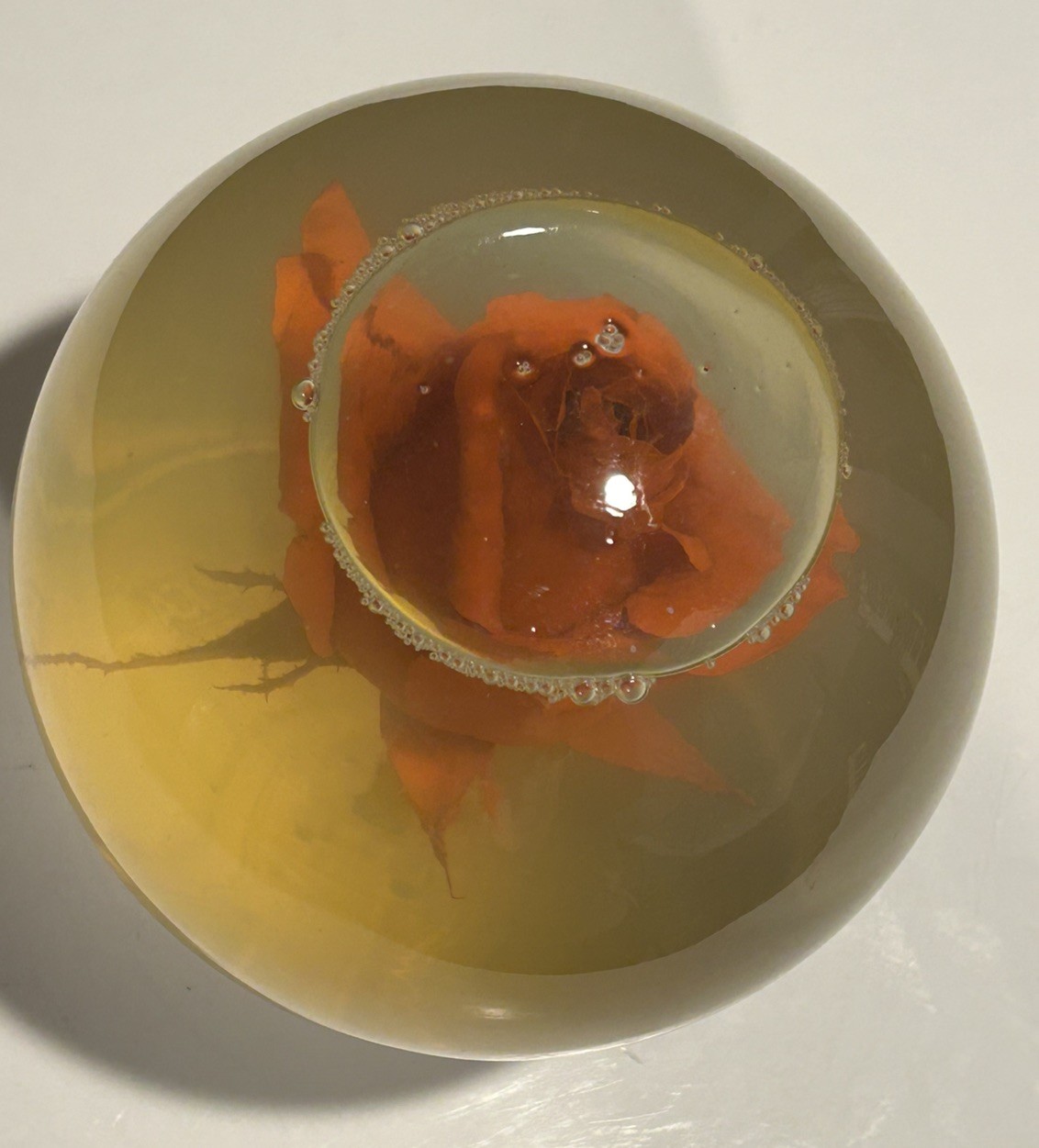Vintage Liquid Filled Orange Rose Display Globe Preserved Flower Decor
