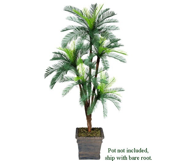 One 6′ Cycas Artificial Palm Tree with 5 Heads Plant Plastic Fronds with No Pot