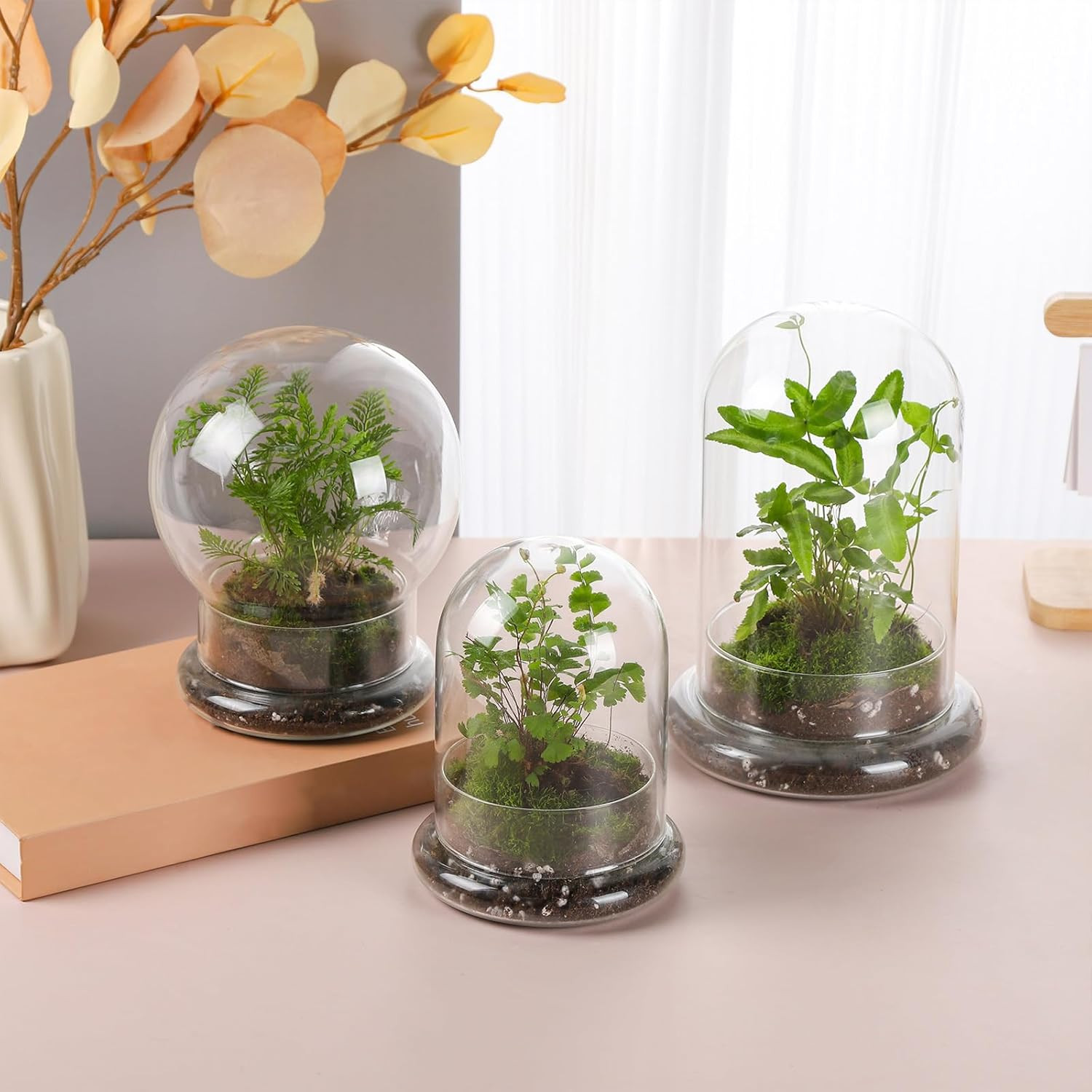 8 Inches Glass Cloche for Indoor Plants Small Terrarium Glass Cloche with Bas…