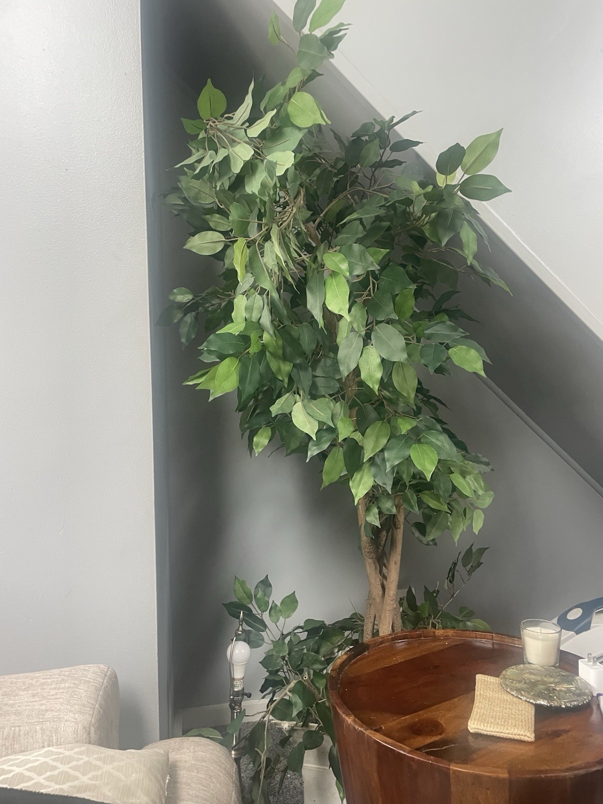 Silk Plant 5ft , From Pier One In A Pot , Lots Of Branches To Fill A Space