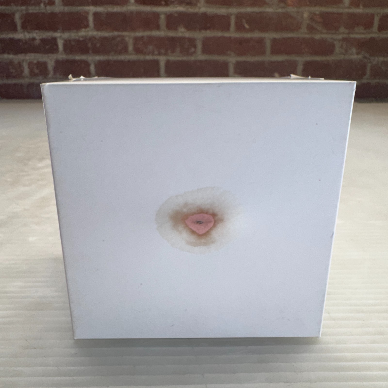 Preserved Rose Gift Box Set Red & Pink Heart Rose Floral Decor 2 Pieces