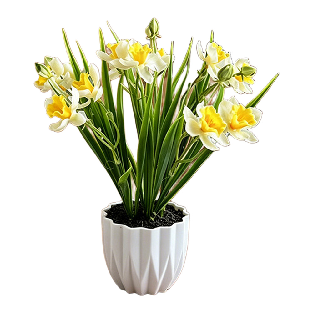 26.5 x 9.5cm Narcissus Flower Arrangement in Pot for Indoor Floral Styling