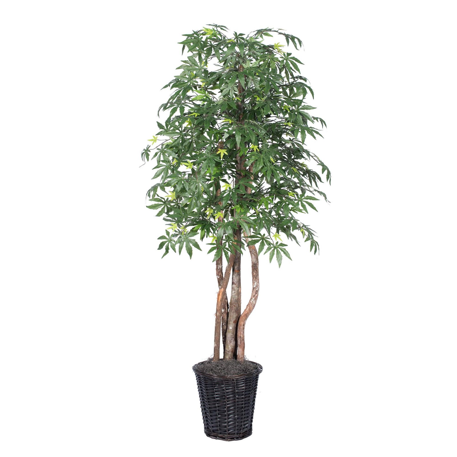 Vickerman 6′ Artificial Japanese Maple Executive Tree with Black Pot in Green