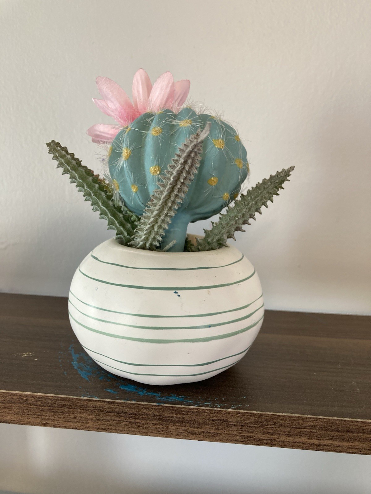 Succulent Tabletop Decor