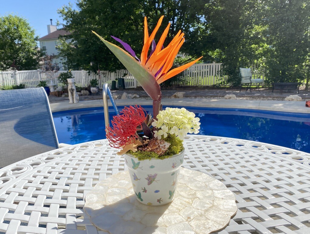 Decorative Planter with Dragon Flowers and Tropical Flowers in Butterfly Pot