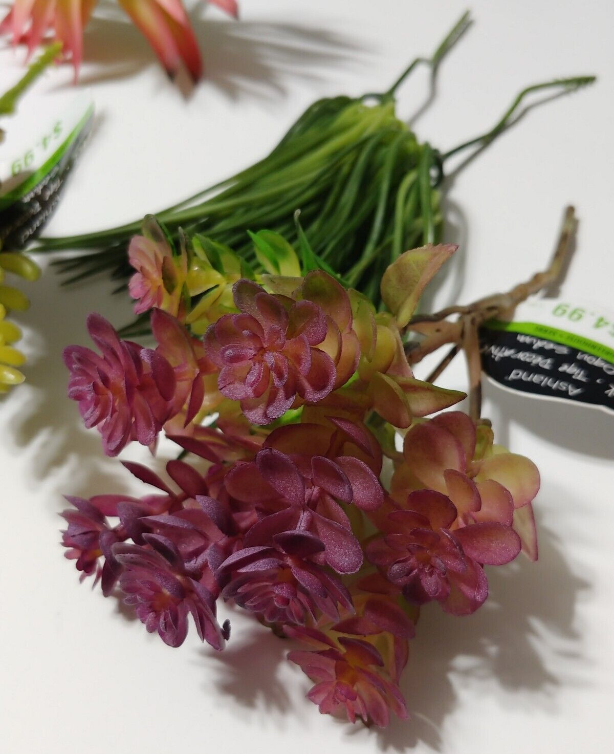 Lot of 16 Ashland Succulents Greenery Floral Picks Sizes 1.5″ to 11″ Craft Decor