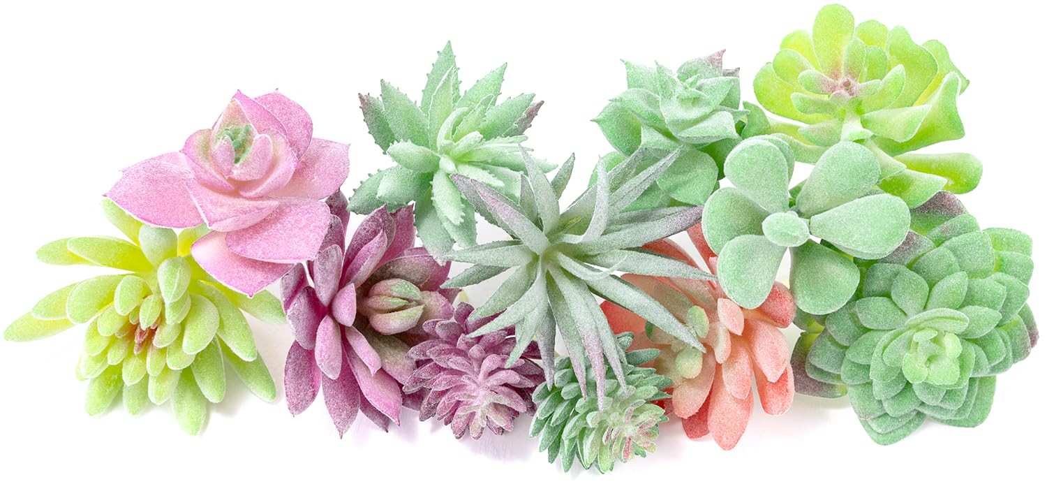 WOHSEROM 12 Pack Realistic Flocked Artificial Succulents, Faux Plastic Succul…