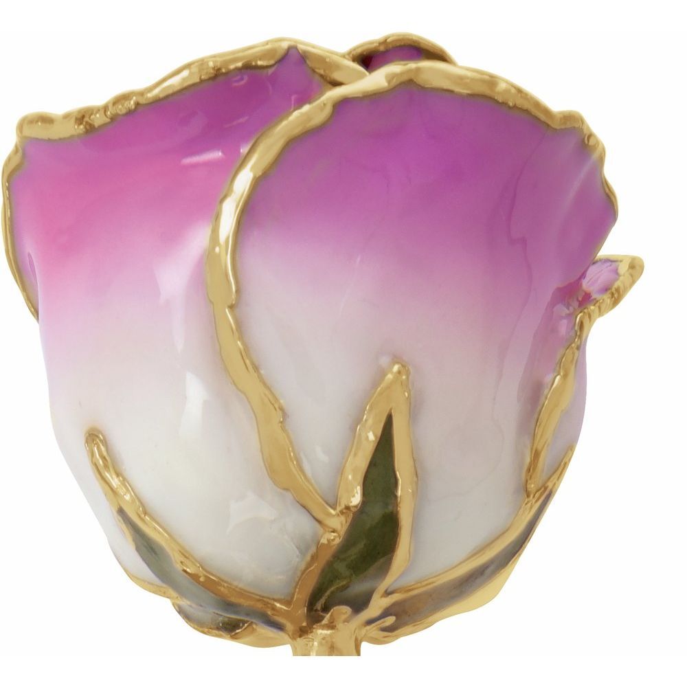 24k Gold Dipped Cream Picasso Lacquer Real Rose Valentine’s Day Holiday Gift