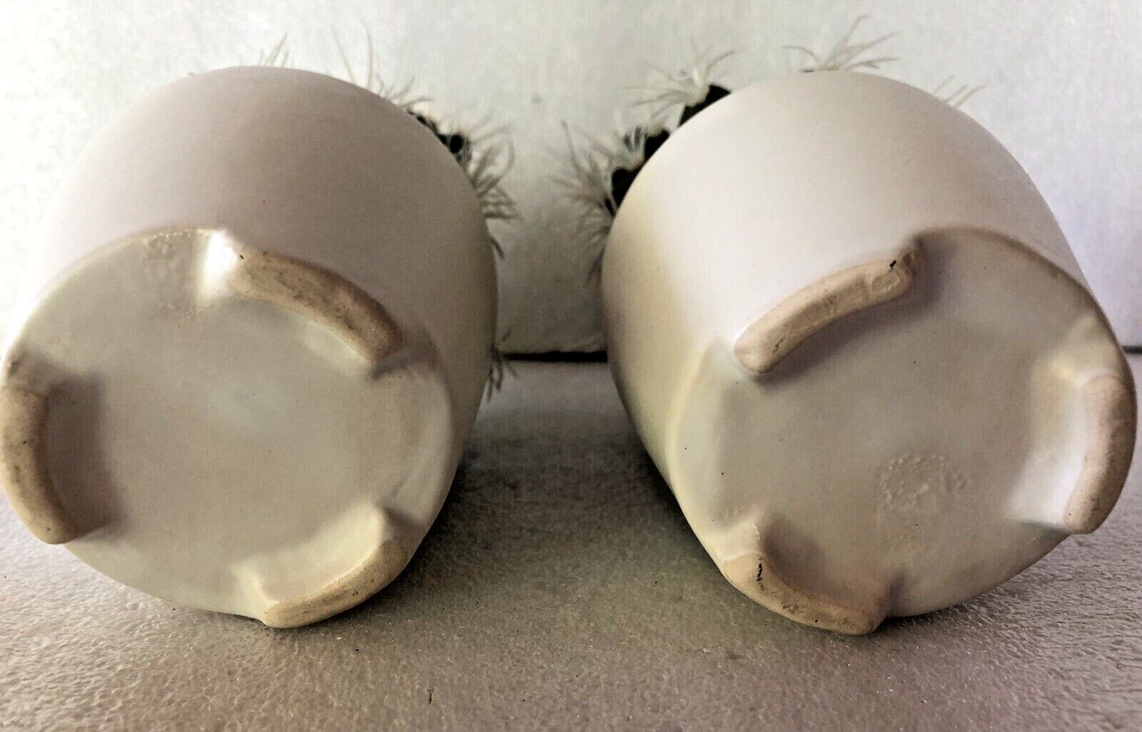 Set of 2 Faux Cactus Artificial Plants in Ceramic Pots 7″ Tall