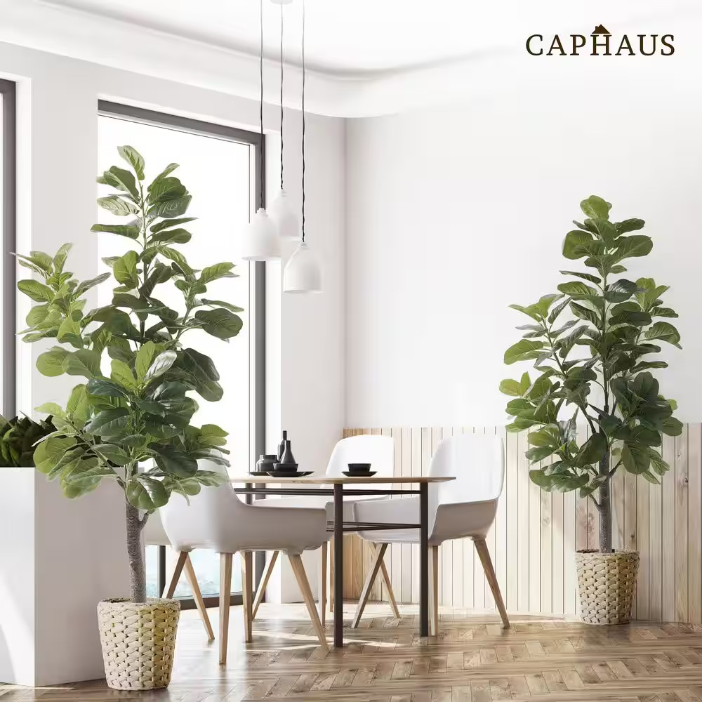 7 Ft. Green Artificial Fiddle Leaf Fig Tree with Dried Moss in Pot, Ficus Lyrata