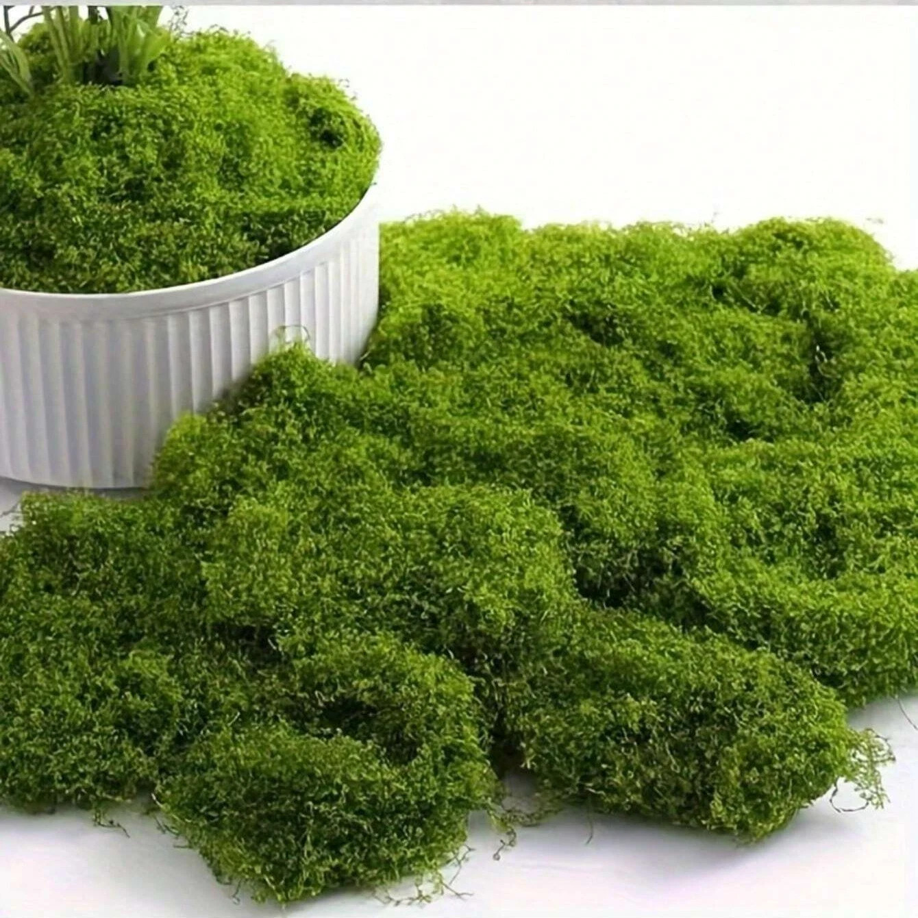 300g Artificial Moss Fake Green Plant Simulation Grass Centerpiece Decor For DIY