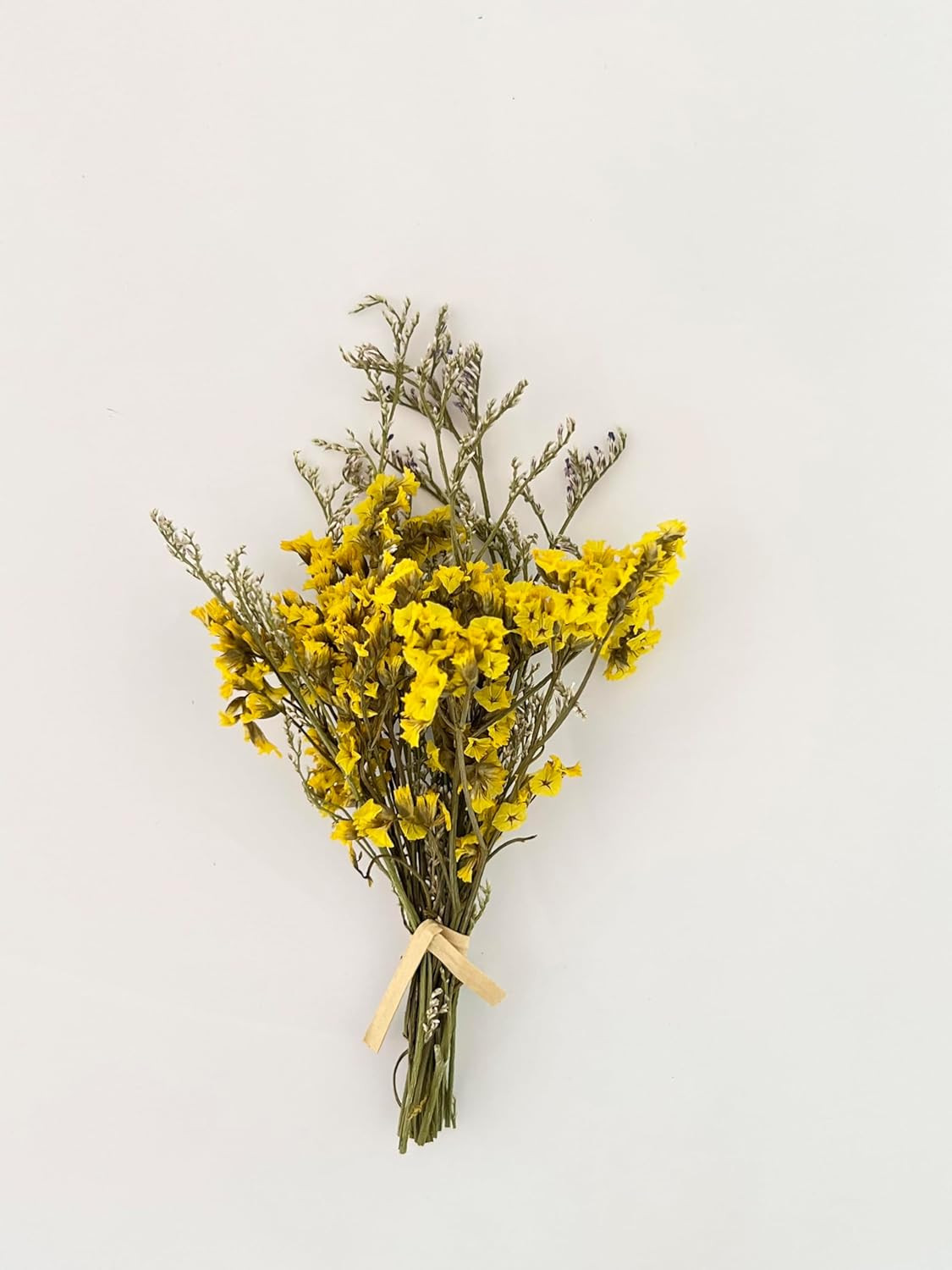 10Pcs Mini Dried Flowers Bouquet, Mixed Natural Dried Flowers Gypsophila Bouquet