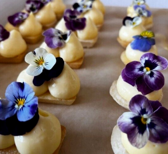 Fresh Edible Garnish Flowers-Bright Pansies Overnight Free Shipping WEDNESDAYS