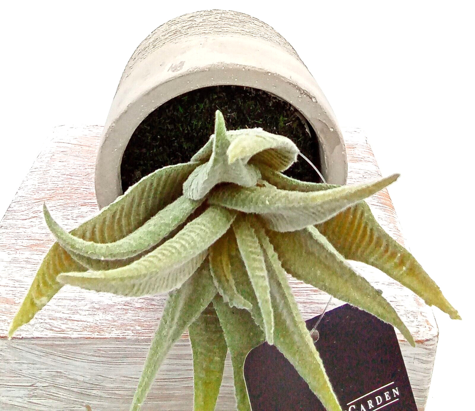 Aloe Succulent Cement Pot Planter Gray Green Artificial Plastic Foam Floral 4.5″