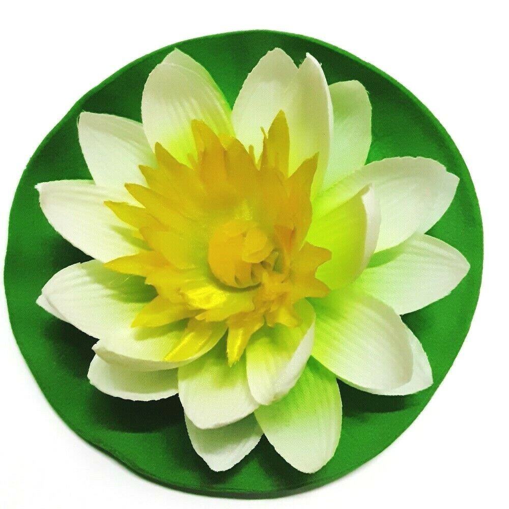 5 Siamese Lotus Flowers White Pink Purple Blue Yellow Home Floral Decor