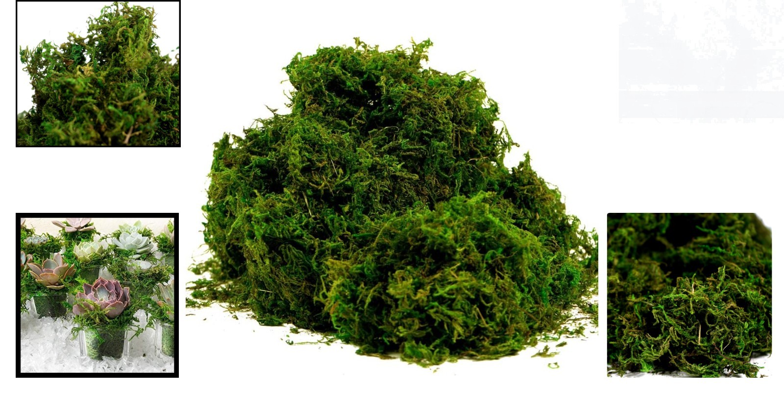 225g Fresh Green Artificial Moss – Ideal for Home Decor & Floral Arrangements