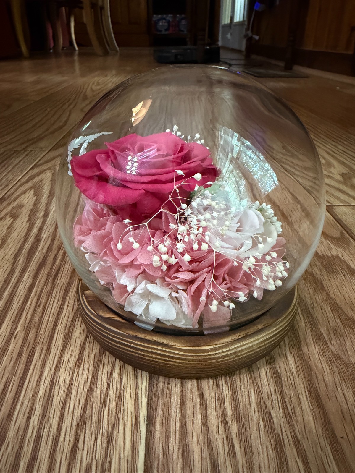 PRESERVED PINK AND RED ROSES IN A LED GLASS LIT DOME W/ORGINAL BOX