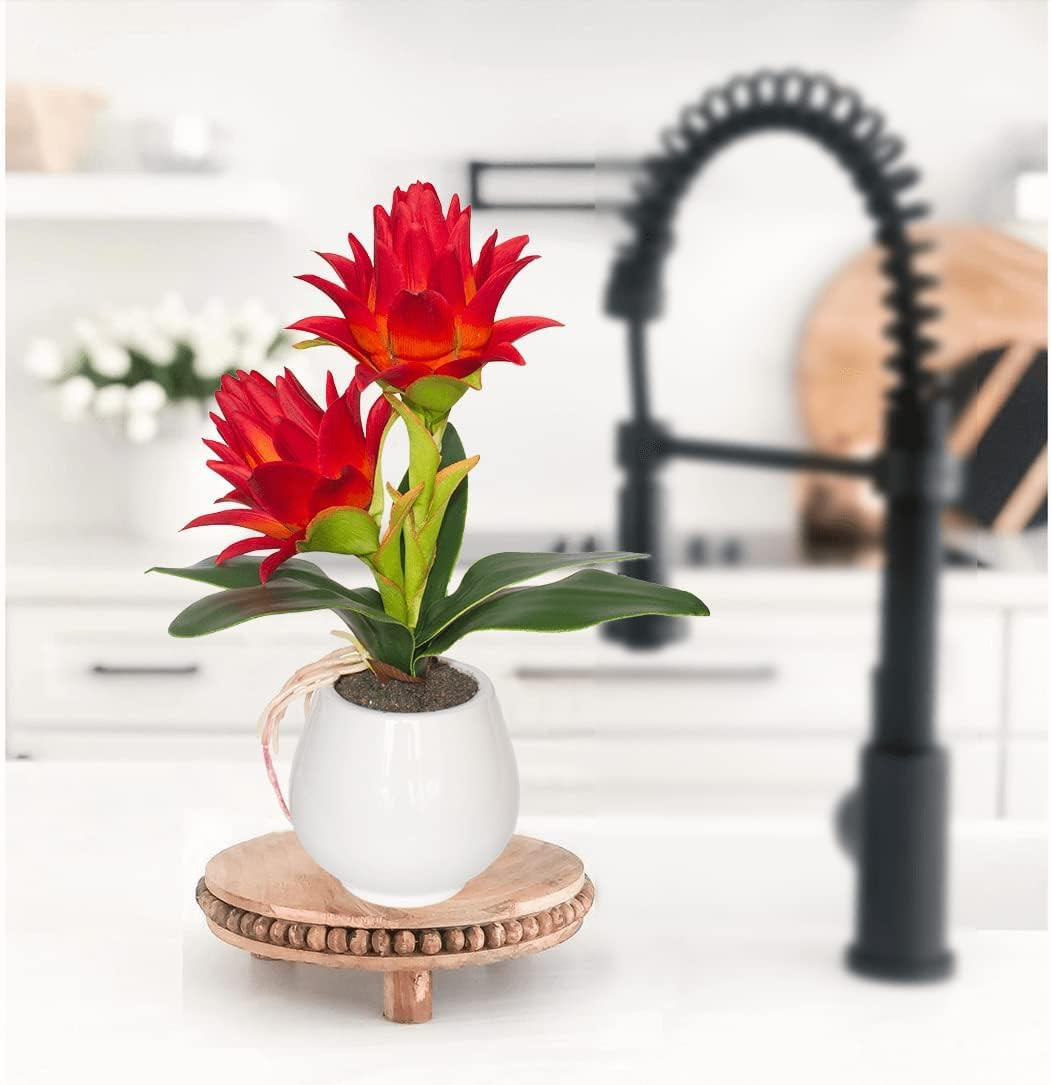 Red Bromeliad Faux Plant in Vase – 13.4 Inch Tropical Home Decor